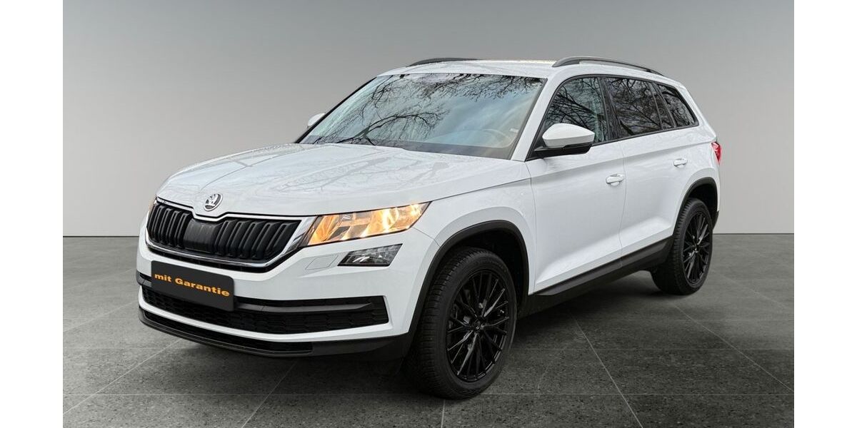 Skoda Kodiaq 199.562 km 12.890 &euro; Düsseldorf 40599