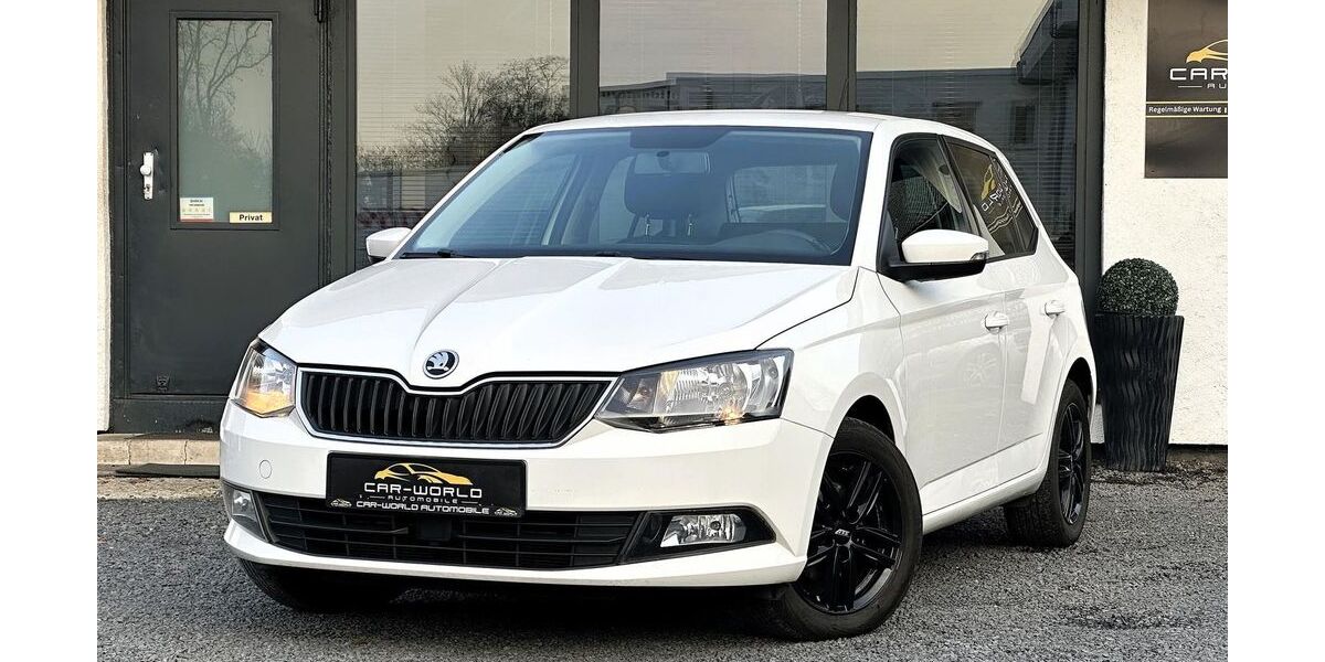 Skoda Fabia 135.748 km 7.399 &euro; Duisburg 47167