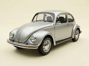 Gebrauchte VW Käfer